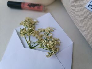 An artistic composition featuring elderflower in an envelope beside a lip gloss, creating a soft, minimalist aesthetic.